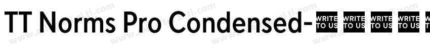 TT Norms Pro Condensed字体转换